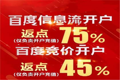 信息流投放策略：某电商平台的成功案例